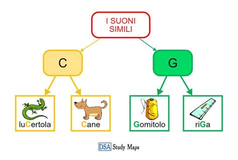 I Suoni Simili C G DSA Study Maps Junior