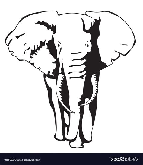 Elephant Outline Vector at Vectorified.com | Collection of Elephant ...