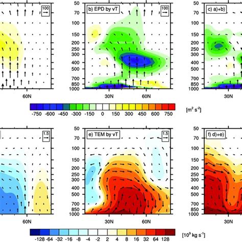 Eddy Heat And Momentum Flux Contributions To The TEM Circulation DJF