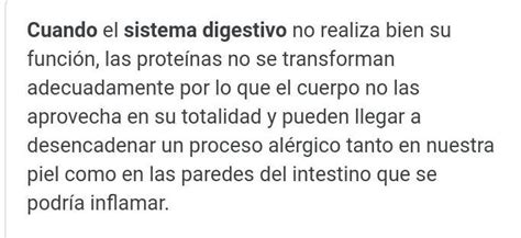 Qué pasaría si no se llevara a cabo la etapa de absorción en el