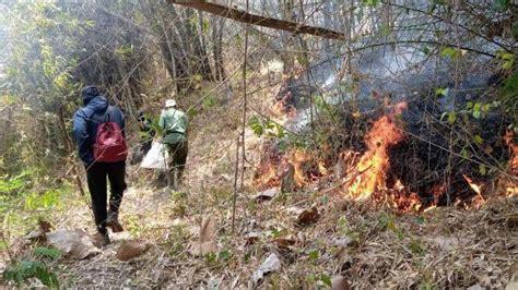 Breaking News Gunung Budheg Tulungagung Kembali Terbakar Api