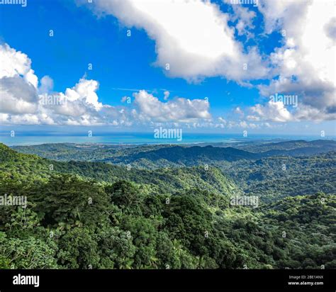 List 98+ Pictures El Yunque National Forest Photos Completed