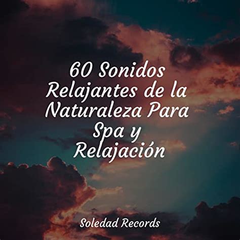 Sonidos Relajantes De La Naturaleza Para Spa Y Relajaci N Von