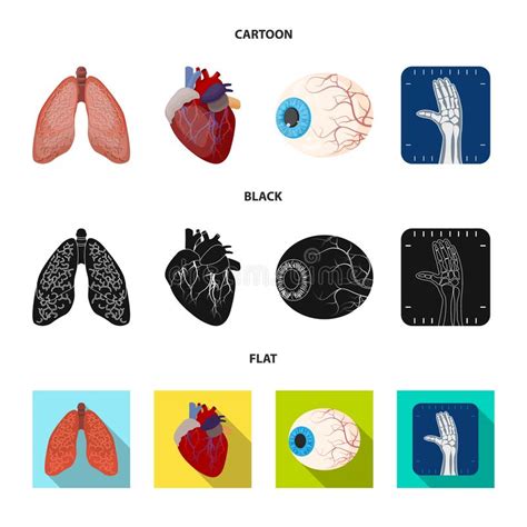 Isolated Object Of Body And Human Symbol Set Of Body And Medical Stock