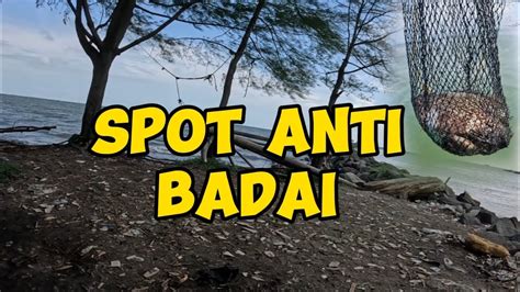 Spot Baronang Anti Badai Youtube