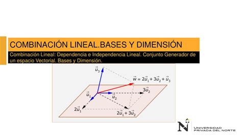 PPT 4 COMBINACION LINEAL 1 Kelly UDocz