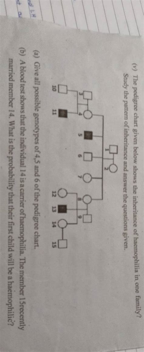 V The Pedigree Chart Given Below Shows The Inheritance Of Haemophilia I