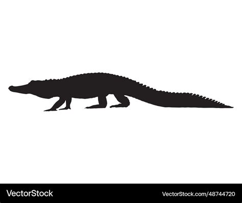 Alligator silhouette art Royalty Free Vector Image