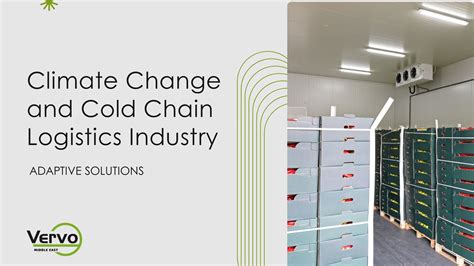 Climate Change and Cold Chain Logistics Industry: Adaptive Solutions