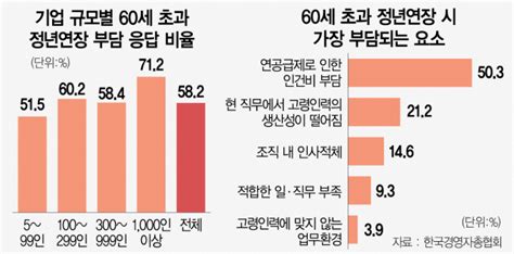 기업 60 60세 초과 정년연장 부담임금피크제 확대해야 서울경제