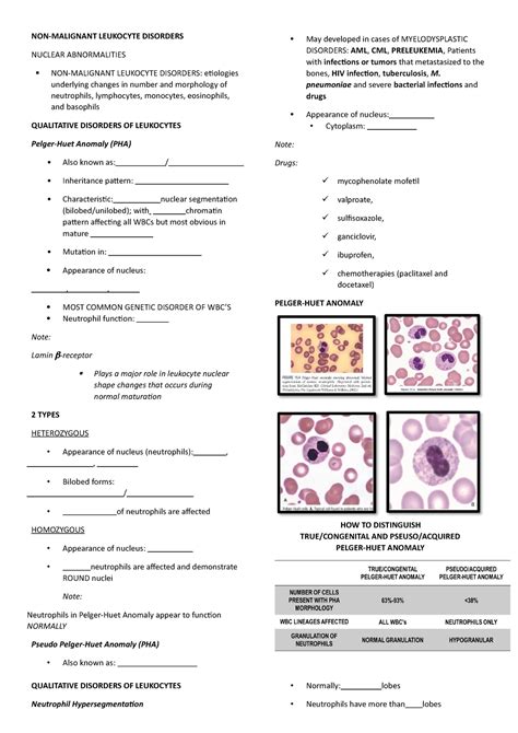 Wbc Morpho Leukocyte Abnormalities Non Malignant Disorders