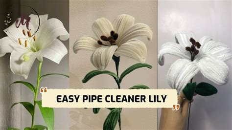 How To Make A Pipe Cleaner Lily H Ng D N L M Hoa Lily T K M Nhung