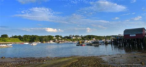 Mackerel Cove In Bailey Island Maine