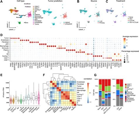 Frontiers Identification Of Transcriptional Heterogeneity And