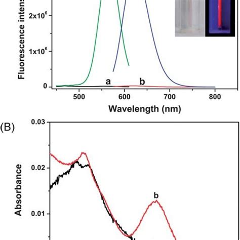 A Excitation l ex ¼ 560 nm and emission l em ¼ 620 nm spectra of