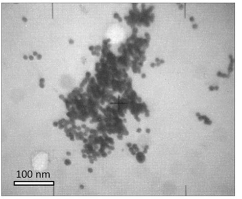 Tem Micrograph Of Nanodiamonds Used In This Study Download