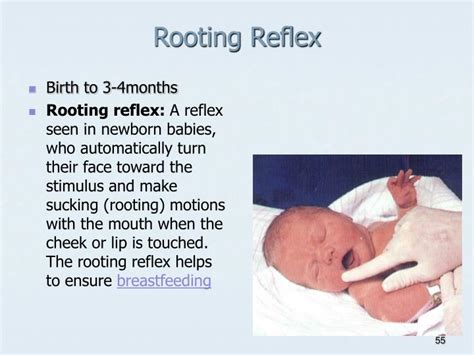 Ppt Newborn Nursing Powerpoint Presentation Id6966884