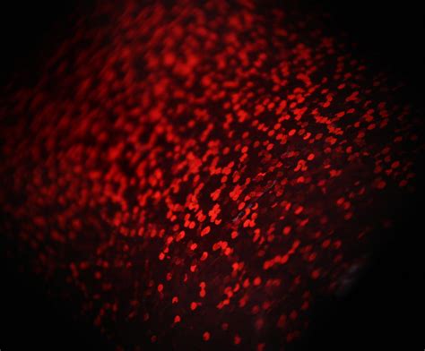 Red Metallic Texture by effervescentimages on DeviantArt