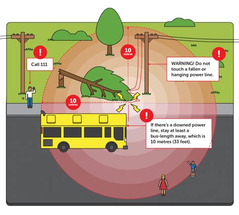 What To Do Power Line Is Down Network Waitaki