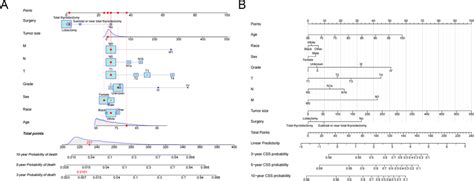 The Nomogram For Predicting 3 5 10 Year Css In Elderly Patients With Download Scientific