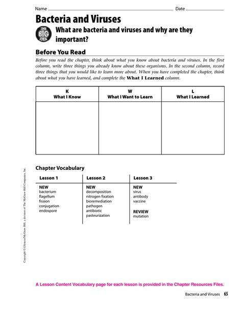 Bacteria And Virus Comparison Worksheet Printable Word Searches