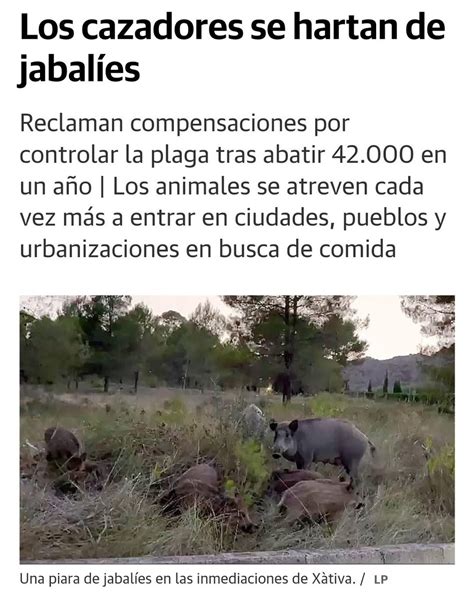 Locuras L Gicas On Twitter Rt Ecoantifak Los Cazadores Se Hartan