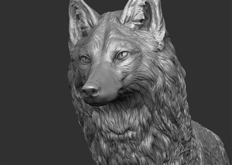 Artstation Fox Dmitrii Prosov Fox 3d Model Fox Head