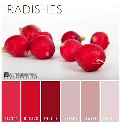 Radishes Color Red Colour Palette Radish Color