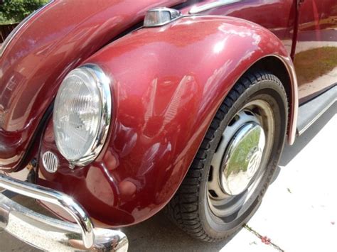 Ruby Red 1966 Vw Beetle Bug For Sale Photos Technical Specifications