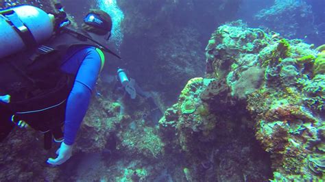 Reefs Of Cozumel Palancar Caves Gopro Scuba Diving Footage 3 Youtube