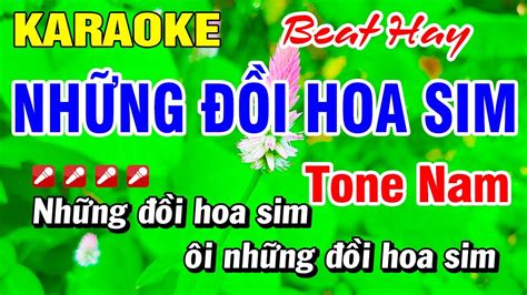 Karaoke Nh Ng I Hoa Sim Beat Hay Nh C S Ng Tone Nam M I Ho I