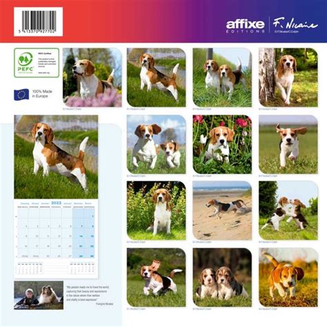 Calendrier Beagle Tout Chien Le Magazine