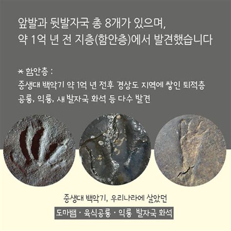 세계 최초 중생대 백악기 도마뱀발자국 화석 발견 정책뉴스 뉴스 대한민국 정책브리핑