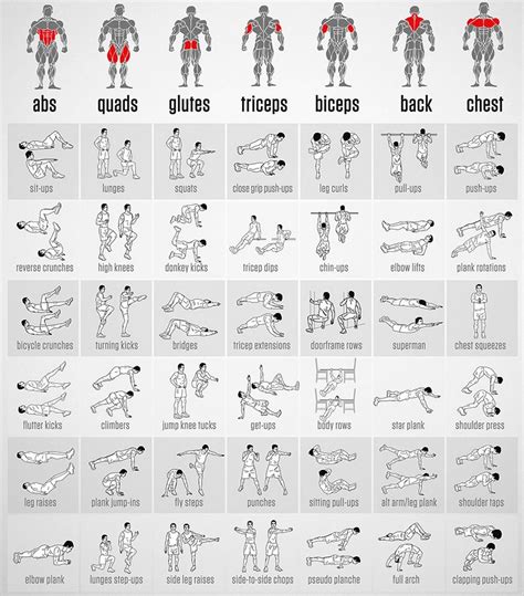 Build A Workout Plan Based On Equipment - WorkoutWalls