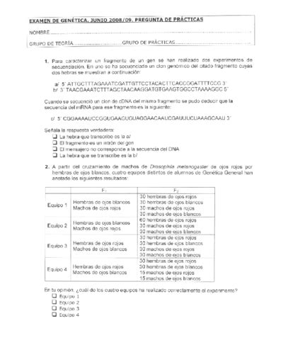 Test Genetica Mendeliana Preguntas Con Respuestas Pdf