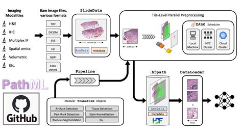 Spatial Transcriptomics GitHub Topics GitHub