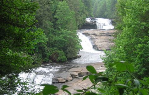 State Forests In North Carolina » Carolina Outdoors Guide