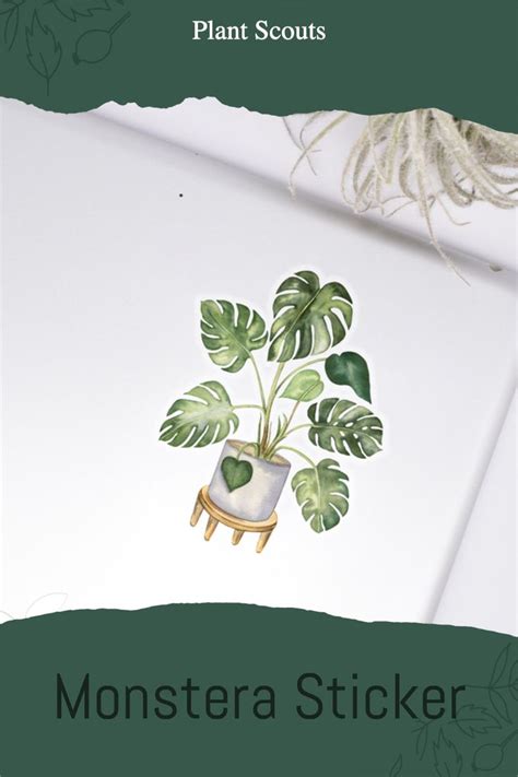 Monstera Sticker Plant Lover T Plant Aesthetic Monstera