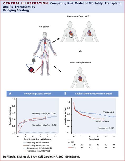 Ecmo As A Bridge To Left Ventricular Assist Device Or Heart