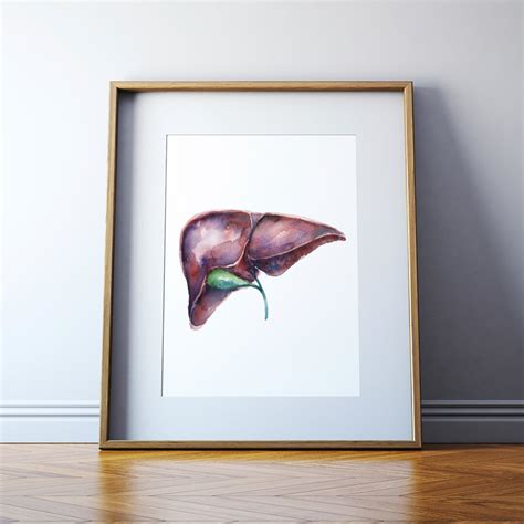 Liver Watercolor Art Print Gastrointestinal Art Abstract Anatomy Art - Etsy