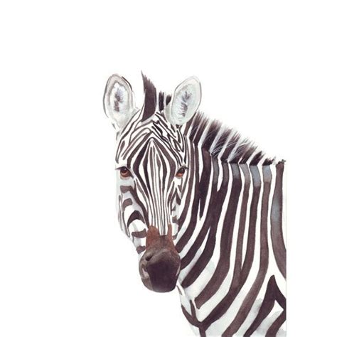 Zebra Watercolor Painting Animal Print Of Watercolor Painting African