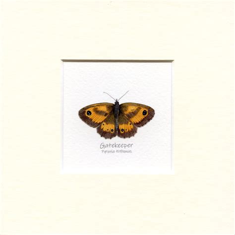 British Butterfly Gatekeeper Mounted Mini Giclée Print