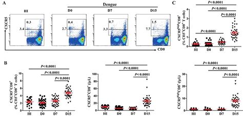 Protective Role Of Follicular Cxcr5 Cd8 T Cells Against Dengue Virus 2 Infection