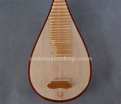 Xinghai Professional Rosewood Pipa, Chinese Pipa lute, E0053 - Red ...