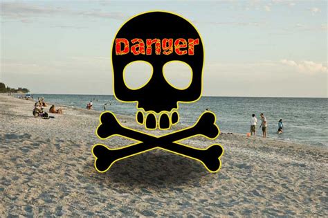 Danger In The Sand New Floridians