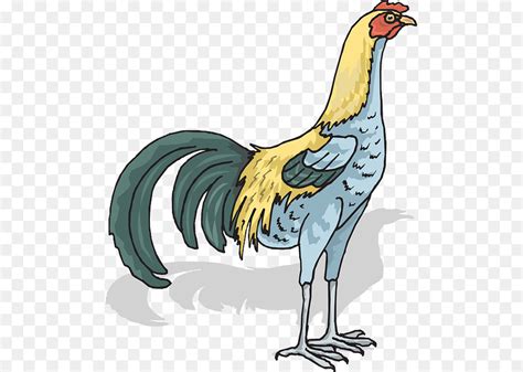 Ayam Clip Art