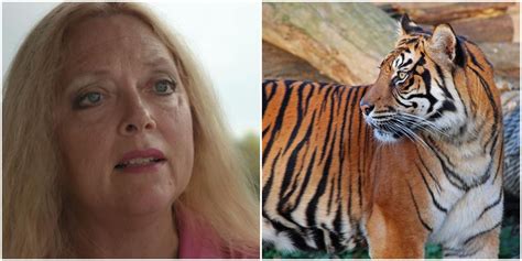 Carole Baskin Spoke Out For The 1st Time Since Tiger King Making 2 Big Cat Announcements Narcity