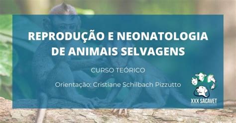 Reprodu O E Neonatologia De Animais Selvagens Online Sympla