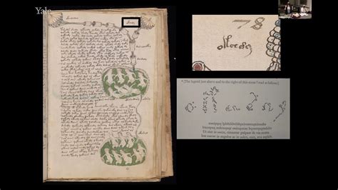 Voynich Manuscript Wiki Uniquedarelo