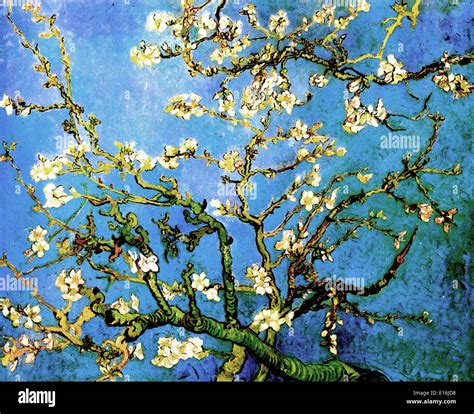 Almond Tree Blossom Van Gogh